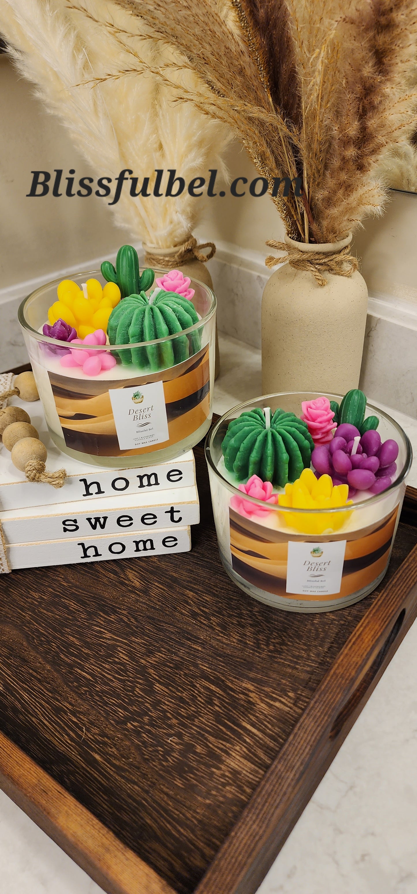 Desert Bliss Sacculents Candle